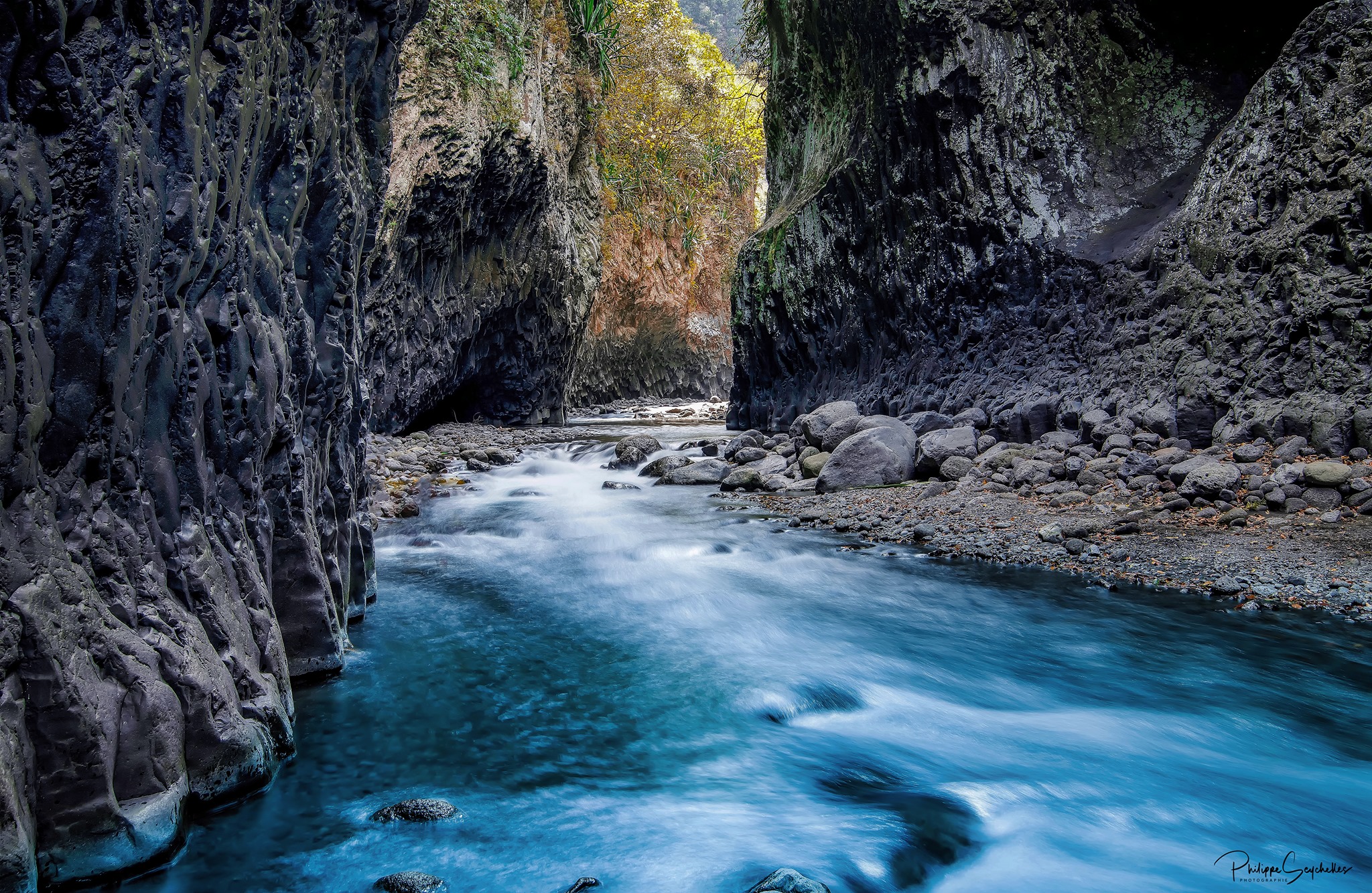 93189202_2657728891169784_7973035069042327552_o