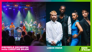 Soirée Concerts au Festival Sons d&rsquo;hiver : Un Hommage aux Talents&nbsp;Réunionnais