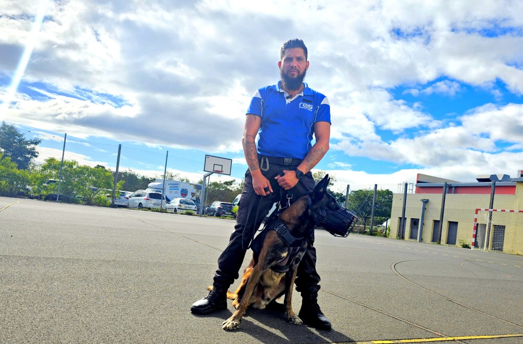 Damien Hoarau : une passion domptée par la&nbsp;raison