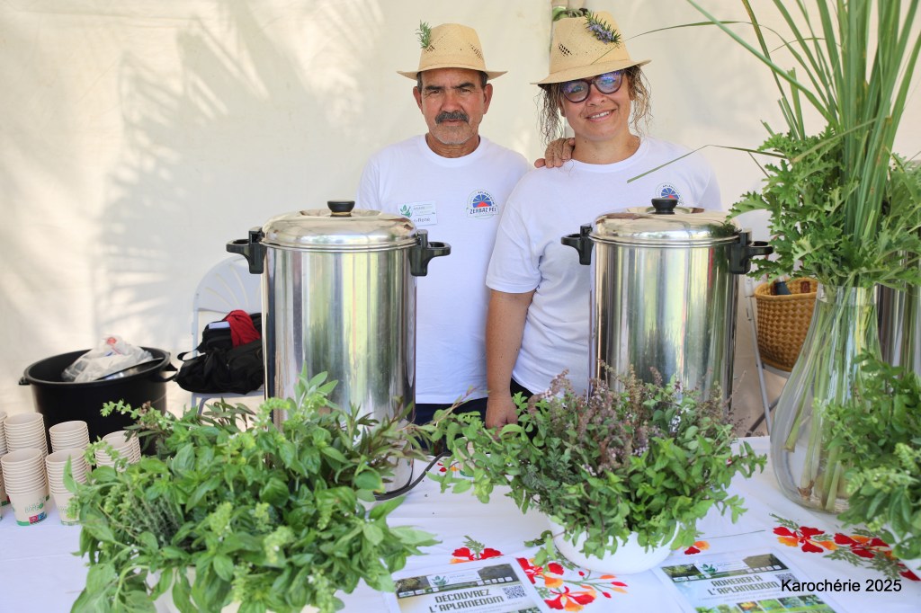 Tisanes de choc : quand le savoir de Jean-René Técher sauve votre ventre (et votre virilité)&nbsp;(Photos-Vidéo)